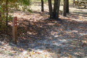 In the foreground is a brow site marker with an arrow on a wooden post. There is sand mixed with some vegetation on the ground and there are trees and a picnic table in the background.