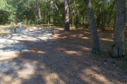 View of a vacant site with a picnic table, fire ring, electric pedestal, and a water spigot. The site is sandy with sparse vegetation. A variety of trees are on the edges of the site and the site is shaded. There are two large trees in the foreground and one large tree in the background.