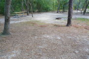 View of a vacant campsite with a picnic table and fire ring. The main part of the site is sandy and there are three trees in the site. Trees are present all around which create a canopy and partly shade. An electric pedestal and a water spigot are present in the background.