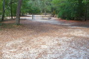 View of a vacant campsite with a picnic table, fire ring, electric pedestal, and water spigot. The main part of the site is sandy. There are several trees surrounding the site and it is partly shaded.