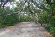 View of a vacant campsite with a picnic table, fire ring, electric pedestal, and water spigot. The main part of the site is sandy and is surrounded by trees on both sides that arch over the site creating a canopy and complete shade.