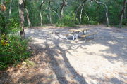 View of a vacant campsite with a picnic table and fire ring. The main part of the site is sandy and is surrounded by arching trees creating a canopy and complete shade.