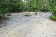 View of a vacant campsite with a picnic table, fire ring, electric pedestal, and water spigot. The main part of the site is sandy. There are several trees surrounding the site and it is partly shaded. A medium size tree is located in the middle of the site.