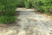 View of a vacant campsite with a picnic table and fire ring. The site is mostly sand and has trees all around it. There is partial shade.