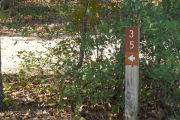 Close up of a brown site marker with an arrow on a wooden post. Directly behind the marker are some small bushes. Sand is present in the background.