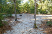View of a vacant campsite with a picnic table, fire ring, water spigot, and electric pedestal. The main part of the site is sandy with some grass around the edges. A few small trees are present within the site. The site is lined with trees and the back of the site is densely forested.