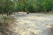 View of a vacant campsite with a picnic table and fire ring. The main part of the site is sandy with some grass around the edges. A few small trees are present within the site. The site is lined with trees and the back of the site is densely forested.