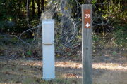 Close up a campsite marker with an arrow on a wooden post. There is grass in the foreground and an electric pedestal to the left of the marker. The background is densely forested.
