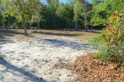 View of a vacant campsite with a picnic table, fire ring, electric pedestal and water spigot. A wooden barricade is located on the edge of the site. The main part of the site is grassy with some patches of sand. The back of the site is densely forested and there is partial shade.