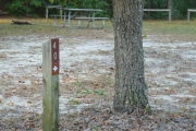 Close up of a brown site marker with an arrow on a wooden post. There is a tree to the right of the marker and a picnic table and fire pit are located in the background.