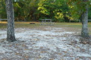 View of a vacant site with a picnic table and fire ring. The site is sandy with large areas of grass and is heavily shaded. There are trees on each side of the entrance and the back of the site is densely forested. There are several wooden barricades on the edges.