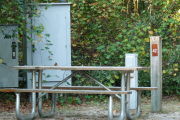 View of a vacant campsite with a picnic table, fire ring, and electric pedestal. The site is sandy with large areas of grass. There is a small tree toward the back of the site. The background is densely forested and there is partial shade.