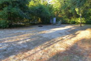 View of a vacant campsite with a picnic table, fire ring, and electric pedestal. The site is sandy with large areas of grass. There is a small tree toward the back of the site. The background is densely forested and there is partial shade.