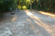 View of a vacant campsite with a picnic table, fire ring, and electric pedestal. The site is sandy with large areas of grass. There is a small tree toward the back of the site. The background is densely forested and there is partial shade.
