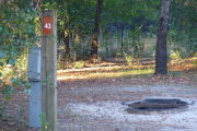 Close up of a brown site marker on a wooden post. An electric pedestal is located to the left of the post and a fire ring to the left. There is a medium sized tree directly behind the fire ring and the background is densely forested.
