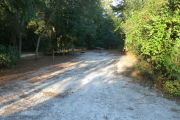 View of a vacant campsite with a picnic table, fire ring, electric pedestal, and water spigot. The main part of the site is sandy with some grass around the edges. Trees and bushes line the site and there is partial shade.