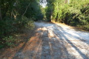 View of a vacant campsite with a picnic table, fire ring, electric pedestal, and water spigot. The main part of the site is sandy with some grass around the edges. Trees and bushes line the site and there is partial shade.
