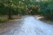 View of a vacant campsite with a picnic table, fire ring, and electric pedestal. The site is mostly hard packed with a small area of grass. There is a large tree at the back and the site is lined with trees and bushes. There is complete shade.