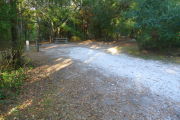 View of a vacant campsite with a picnic table, fire ring, and electric pedestal. The site is mostly hard packed with a small area of grass. There is a large tree at the back and the site is lined with trees and bushes. There is complete shade.