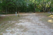 View of a vacant campsite with a picnic table, fire ring, and electric pedestal. The site is sandy with large areas of grass. The back of the site is densely forested and there is complete shade.