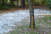 Close up of a brown site marker on a wooden post. Grass is present in the foreground and there is a tree directly behind the post. A vacant campsite is present in the background.