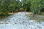View of a vacant campsite with a fire ring and an electric pedestal. The site is sandy with some grass on the edges. Trees line the site and there is complete shade.