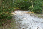 View of a vacant campsite with a fire ring and a picnic table. The site is sandy with some grass on the edges. Trees line the site and there is complete shade.