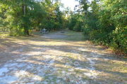 View of a vacant campsite with a picnic table, fire ring, and electric pedestal. The site is grassy with some areas of sand. Trees and bushes line the edges of the site and there is partial shade.