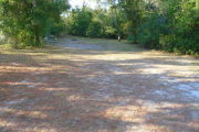 View of a vacant campsite with a picnic table, fire ring, and electric pedestal. The site is grassy with some areas of sand. Trees and bushes line the edges of the site and there is partial shade.