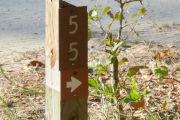 Close up of a brown site marker with an arrow on a wooden post. There is a small tree to the right of the post and sand in the background.