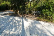 View of a vacant campsite with a picnic table and fire ring. The site is hard packed and has dense trees and bushes on the edges. There is partial shade.