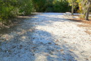 View of a vacant campsite with a picnic table, fire ring, and electric pedestal. The main part of the site is hard packed and there are bushes on the left side of the picture. Two large trees are located on the right side of the photo. There is partial shade in the site.