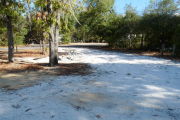 View of a vacant campsite with a picnic table, fire ring, and electric pedestal. The main part of the site is hard packed and there are bushes on the right side of the picture. Two large trees are located on near the picnic table. There is partial shade in the site.