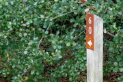 Close up of a brown site marker with an arrow on a wooden post. There is a dark green bush in the background.