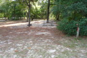 View of a vacant campsite with a picnic table, fire ring, and water spigot (this site does not have electricity). The site is sandy with some patches of grass. There are some bushes on the back edge of the site and a couple small trees in the site. The site is fully shaded.