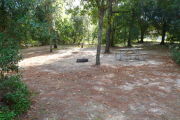 View of a vacant campsite with a picnic table, fire ring, and water spigot (this site does not have electricity). The site is sandy with some patches of grass. There are some bushes on the back edge of the site and a couple small trees in the site. The site is fully shaded.