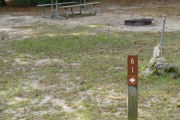 Close up of a brown site marker with an arrow on a wooden post. There is grass in the foreground and a fire ring and picnic table in the background.