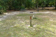 View of a vacant campsite with a picnic table and fire ring (this site does not have electricity). The main part of the site is grass with some sandy patches. There are a couple of small trees within the site and trees all around the edges. This site has partial shade.