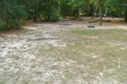 View of a vacant campsite with a picnic table and fire ring (this site does not have electricity). The main part of the site is grass with some sandy patches. There are a couple of small trees within the site and trees all around the edges. This site has partial shade.