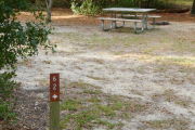 Close up of a brown site marker with an arrow on a wooden post. There is grass in the foreground and a fire ring and picnic table in the background.