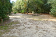 View of a vacant campsite with a picnic table and fire ring (this site does not have electricity). The main part of the site is sandy with patches of grass. There are trees spread around the edges of the site and there is partial shade.