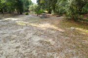View of a vacant campsite with a picnic table and fire ring (this site does not have electricity). The main part of the site is sandy with patches of grass. There are trees spread around the edges of the site and there is partial shade.