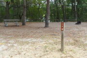 View of a vacant campsite with a brown site marker on a wooden post. This site has a picnic table, fire ring, electric pedestal, and water spigot. There are two large trees in the site creating partial shade and trees on the back edge.