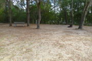 View of a vacant campsite with a picnic table, fire ring, electric pedestal, and water spigot. There are two large trees in the site creating partial shade and trees on the back edge. The main part of the campsite is sand.