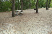 View of a vacant campsite with a picnic table, fire ring, electric pedestal, and water spigot. There are two large trees in the site creating partial shade and trees on the back edge. The main part of the campsite is sand.