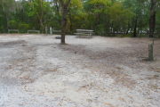 View of a vacant campsite with a picnic table, fire ring, water spigot, and electric pedestal. The main part of the campsite is sand and the back of the site is densely forested. There is a medium size tree in the middle of the site. There is partial shade.