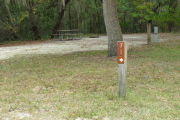 Close up of a brown site marker with an arrow on a wooden post. There is grass in the foreground and a picnic table, fire ring, and electric pedestal are in the background. There is a large tree directly behind the marker.