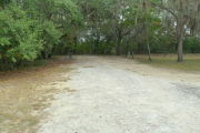 View of a vacant campsite with a picnic table, fire ring, electric pedestal, and water spigot. The main part of the site is sand with a large area of grass to the right. There are two trees within the site and the back of the site is densely forested creating partial shade.
