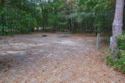 View of a vacant campsite with a picnic table, fire ring, water spigot, and electric pedestal. The main part of the site is sandy with patches of grass. There are several trees spread across the site and the back is densely forested creating partial shade.