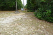View of a vacant campsite with a picnic table, fire ring, and electric pedestal. The main part of the site is grass with some sandy areas mixed in. The side and back edges of the site are lined with trees creating partial shade. There are two large electric boxes at the back of the site.